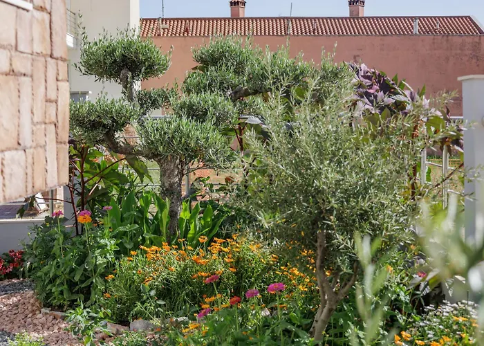 Olive Lejlighedshotel 4*